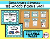 Benchmark Advance Focus Wall 1st Grade (CA, National, 2021