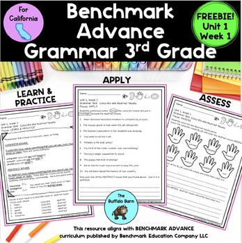 Benchmark Advance GRAMMAR Unit 1, Week 1- 3rd (THIRD) grade FREEBIE!!