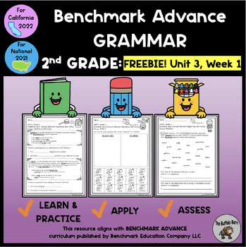 Preview of Benchmark Advance 2nd Grade Grammar Practice Worksheet Activities UNIT 3 FREEBIE
