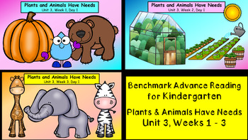 Preview of Benchmark Advance, Kindergarten, Unit 3 (Pre-2021 Version)