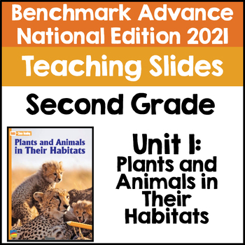 Preview of Benchmark Advance Second Grade Unit 1 Teaching Slides (National Edition 2021)
