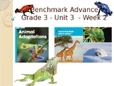 Benchmark Advance Supports - Third Grade - Unit 3 Week 2 -