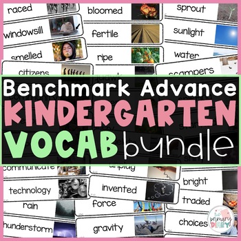 Preview of Benchmark Advance Kindergarten Vocabulary Bundle Unit 1-10 Editable