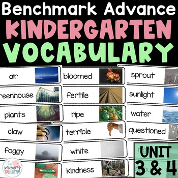 Preview of Benchmark Advance Kindergarten Vocabulary | Unit 3 and Unit 4