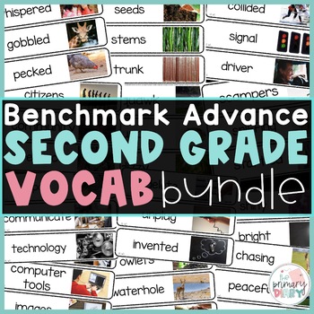 Preview of Benchmark Advance 2nd Grade Vocabulary Bundle Units 1-10 Editable
