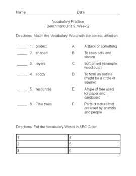 Preview of Benchmark Advance c2021-Second Grade Unit 9, Week 2 Vocabulary and Comprehension
