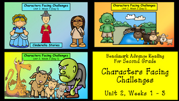 Preview of Benchmark Advance, 2nd Grade, Unit 2