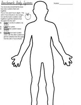 Benchmark Exams for: Parts of a Cell, Body Systems, and Senses by Anna ...