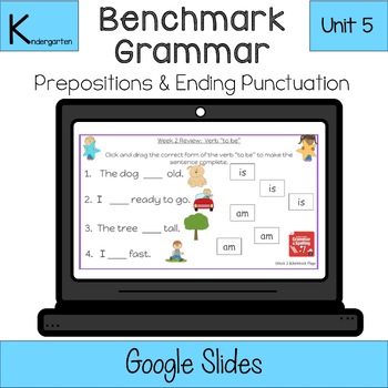 Preview of Benchmark Grammar - Unit 5 - Kindergarten (Pronouns and Being Verbs)