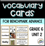 Benchmark Vocab Cards Grade 6 Unit 2 (SPED)