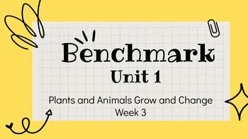 Preview of Benchmark Workshop-1st Grade- Unit 1, Week 3 PHONICS SLIDES for the ENTIRE WEEK!