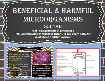 Preview of Beneficial & Harmful Microorganisms (S5L4ab)