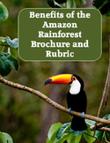 Benefits of the Amazon Rainforest Brochure Project and Rubric