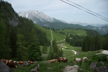 Preview of Berchtesgaden National Park (HD Video) - Free!