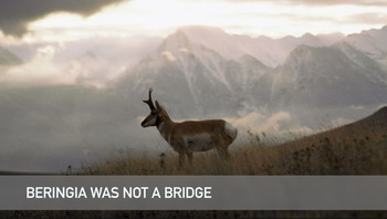 Preview of Beringia was not a Bridge