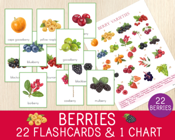 Preview of Berries Flashcards and Chart, 22 Berry Types, Botany, Charlotte Mason, Science