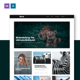 Berse | Responsive WordPress theme, Website Templates, Wor