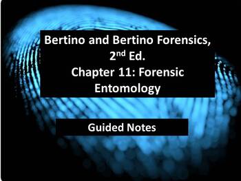 Preview of Bertino Forensics, 2nd. Edition Guided Notes - Ch. 11: Forensic Entomology