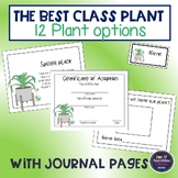 Best Classroom Plant Project