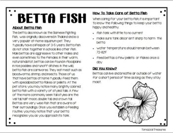 Preview of Betta Fish Info