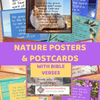 Preview of Bible Study - Bible Verse Posters - Nature Journal