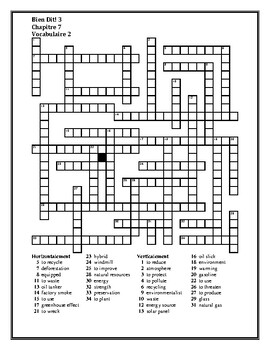 Bien Dit 3 Chapitre 7 Vocabulaire 2 Crossword by jer520 LLC TPT