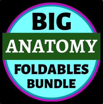 Preview of Anatomy Big Foldables Bundle for Interactive Notebooks or Binders