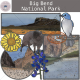 Big Bend National Park Clipart Set