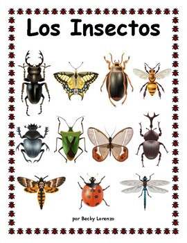 Big Book Los Insectos by Becky Lorenzo | TPT