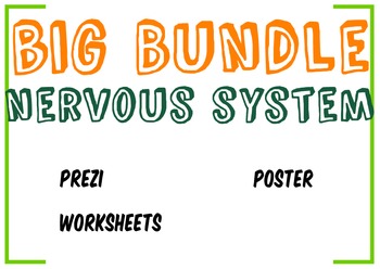 Preview of Big Bundle Nervous System