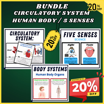 Preview of Big Bundle, Parts Circulatory System - Human Body Organs Facts,Five senses Facts