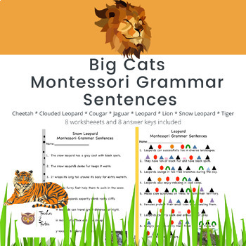 Preview of Big Cat Montessori Grammar Sentences