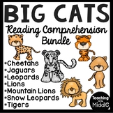 Big Cats Animals Informational Text Reading Comprehension Bundle