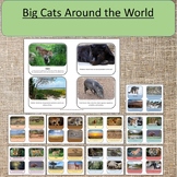 Big Cats Around the World Science Geography Study Montesso