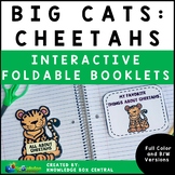 Big Cats: Cheetahs Interactive Foldable Booklets