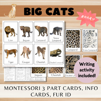 Preview of Big Cats/Montessori 3 Part Cards + Info Cards/Fur ID/Writing Acitvity
