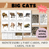Big Cats/Montessori 3 Part Cards + Info Cards/Fur ID/Writi