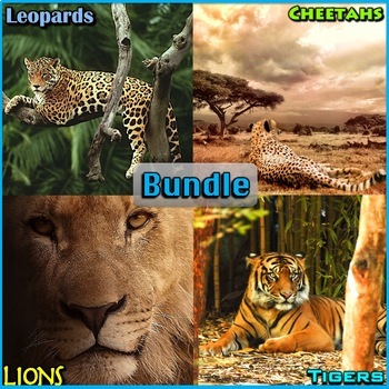 Preview of Big Cats - PowerPoint and Activities Bundle