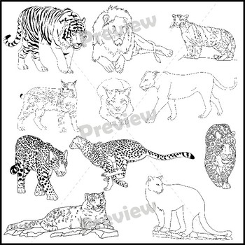 realistic cougar coloring pages