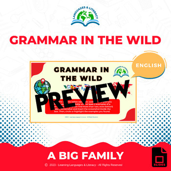 Preview of Big Family - English - Grammar in the Wild - WebHunt