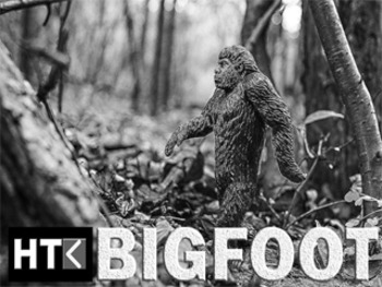 Preview of Big Foot