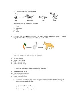 Big Idea 17 (Animal/Plant Interdependence) Assessment | TpT