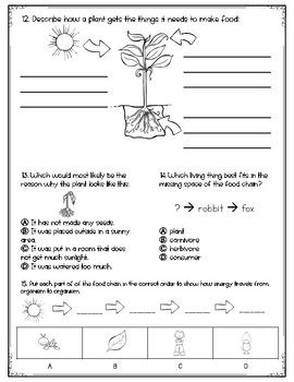 Map Quiz: FOOD WHEEL (biología - 3º primaria - food wheel)