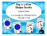 Big & Little Shape Books