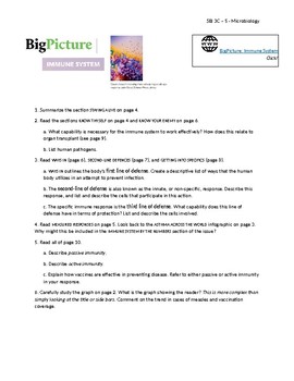 Preview of Big Picture Issue 21 Immune System Guided Reading