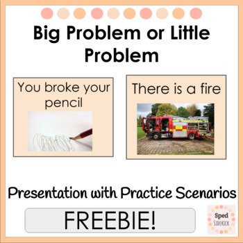 Preview of Big Problem or Little Problem Activity Presentation