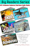 Big Readers Series Set 1: Octopuses, Sea Horses, Sharks, P