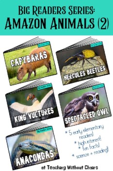 Preview of Big Readers Series Set 3: {Amazon Animals 2}