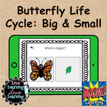 Preview of Big and Small | Butterfly Life Cycle | Boom Cards