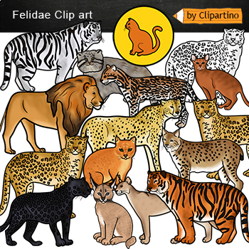 Big cats Clip art /African Wild Cats clipart /Big Cat Safari /mini Bundle